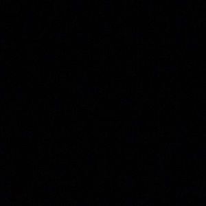 Meet your Posher, Wendell